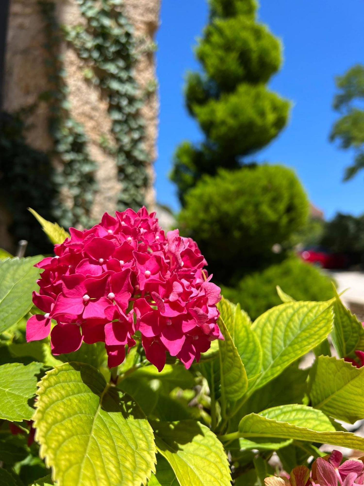 Hotel Les Vieilles Tours Rocamadour Bagian luar foto
