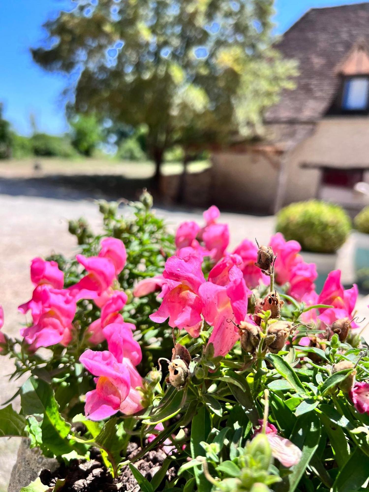 Hotel Les Vieilles Tours Rocamadour Bagian luar foto